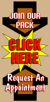 CLICK HERE to Join Our Pack -OR- Request an Appointment