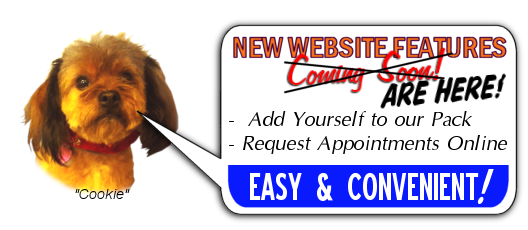 THEY'RE HERE! - New Website Features!